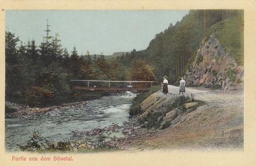 Harz partie aus dem sösetal - partie,